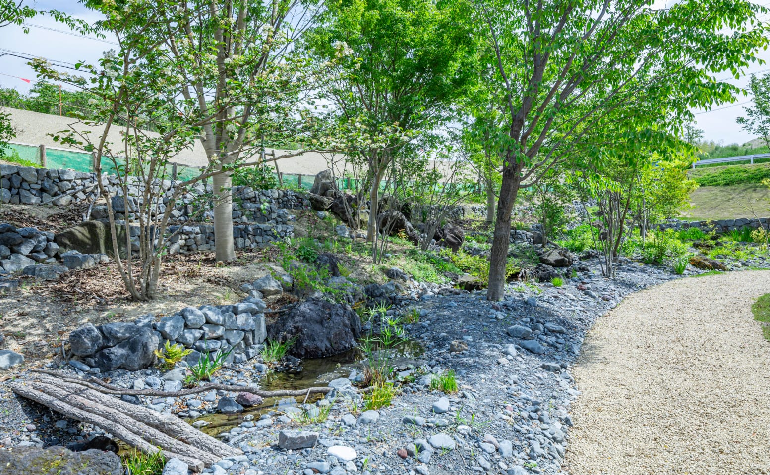 Biotope