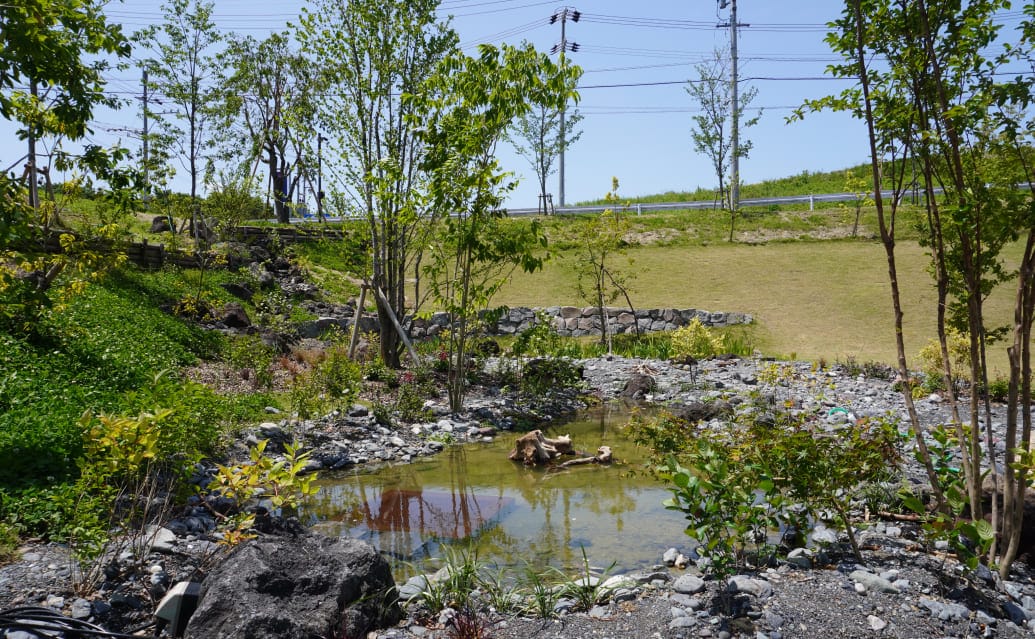 瀬戸工場の貯水池とビオトープ